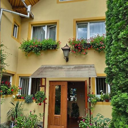 B&B Dumbrava Gura Humorului Exterior photo